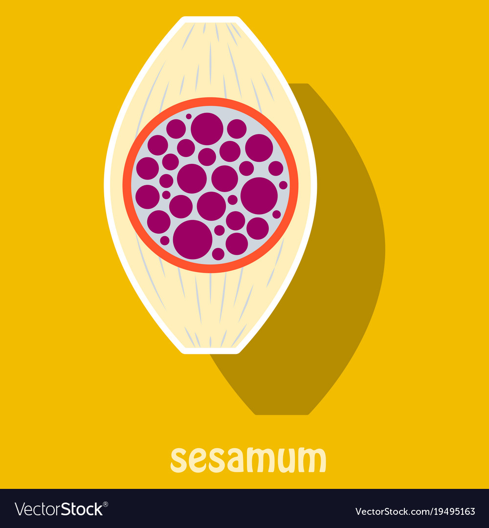 Sticker of the normal sesamoid bone external
