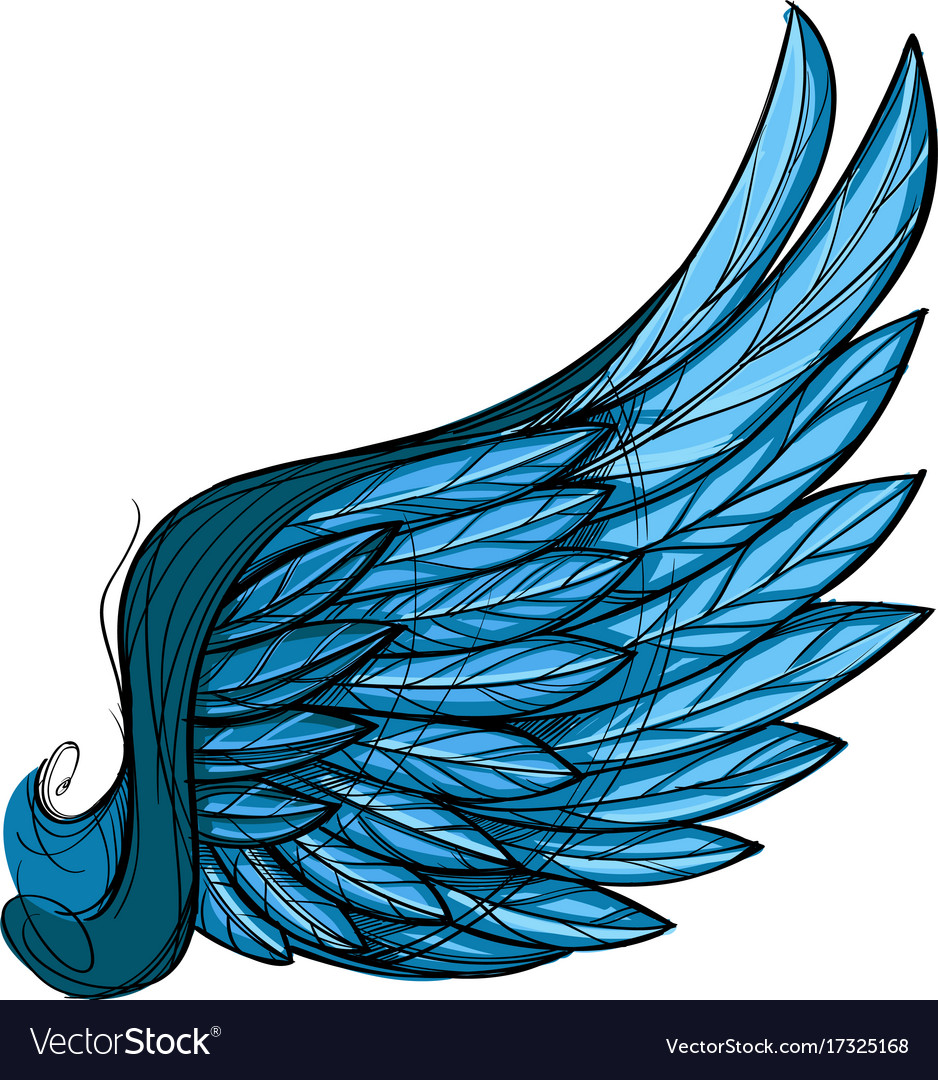 Blue wing isolated on white background design Vector Image
