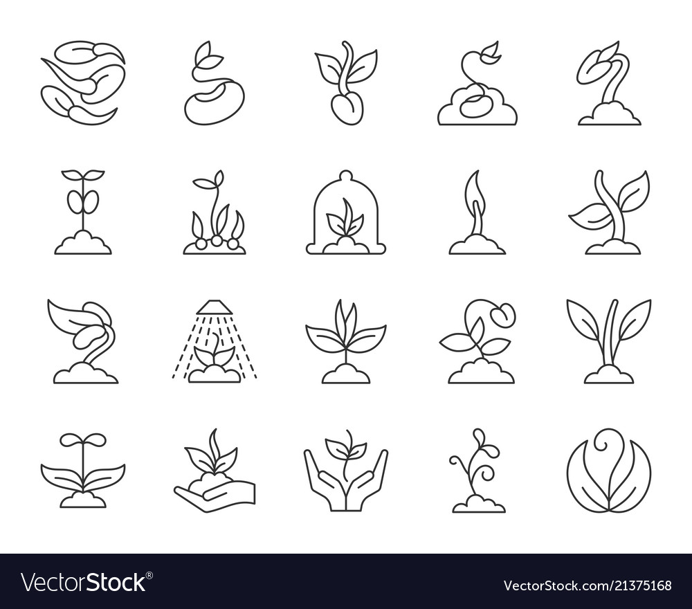 Sprout simple black line icons set vector image Sprout simple black line icons set