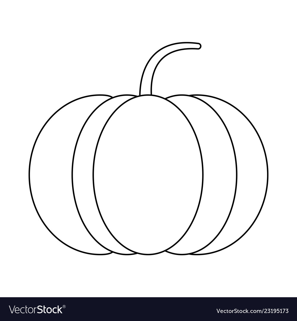 Pumpkin fresh vegetable in black and white Vector Image