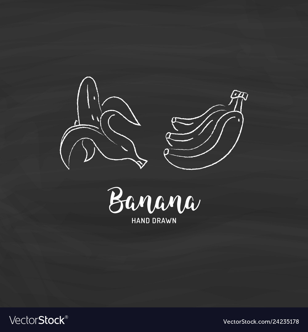 Banana drawing hand drawn bananas sketch