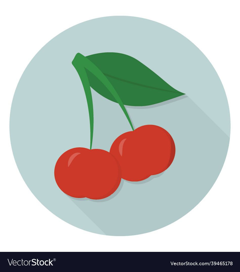 Cherries Royalty Free Vector Image - VectorStock