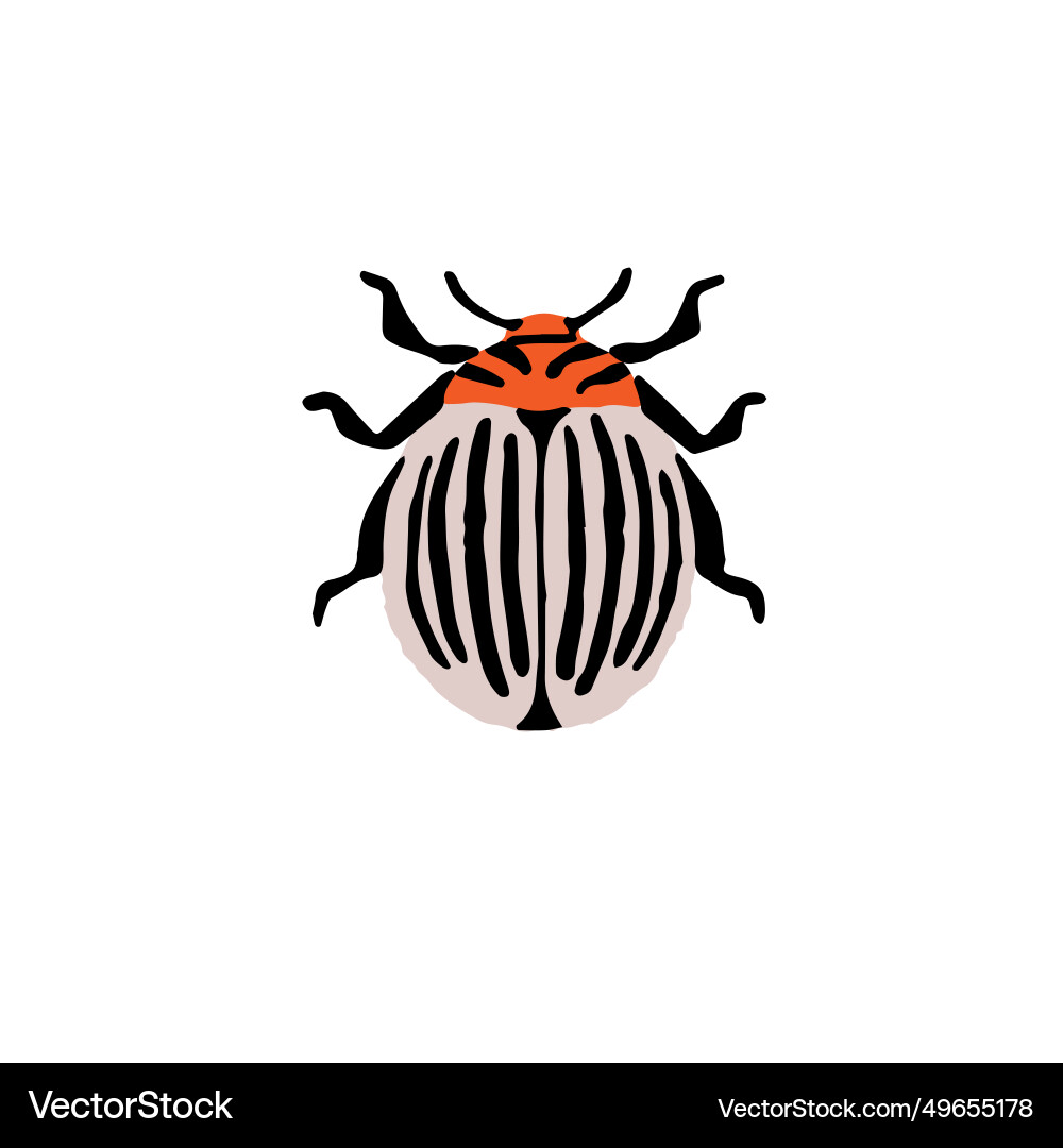 Realistic colorado beetle cute potato bug farm Vector Image
