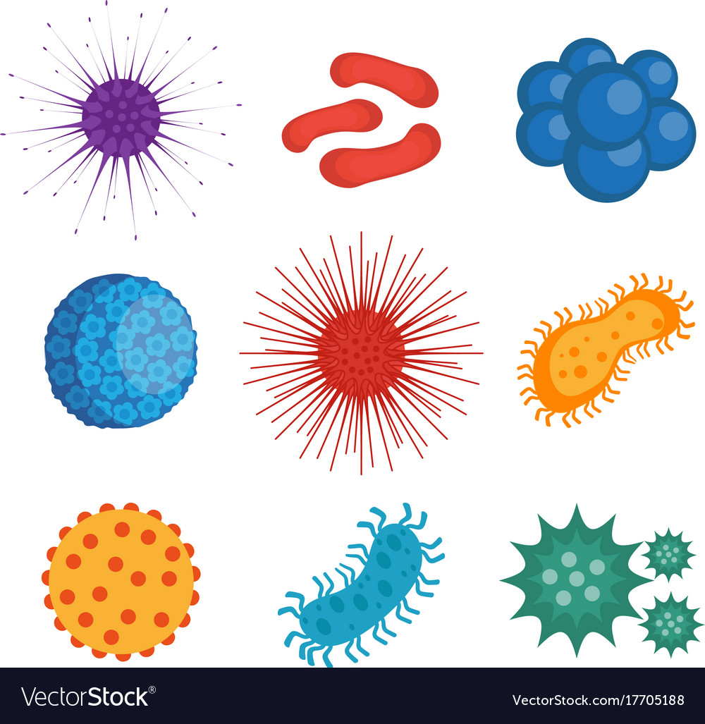 Viruses and bacteria set of icons flat style Vector Image