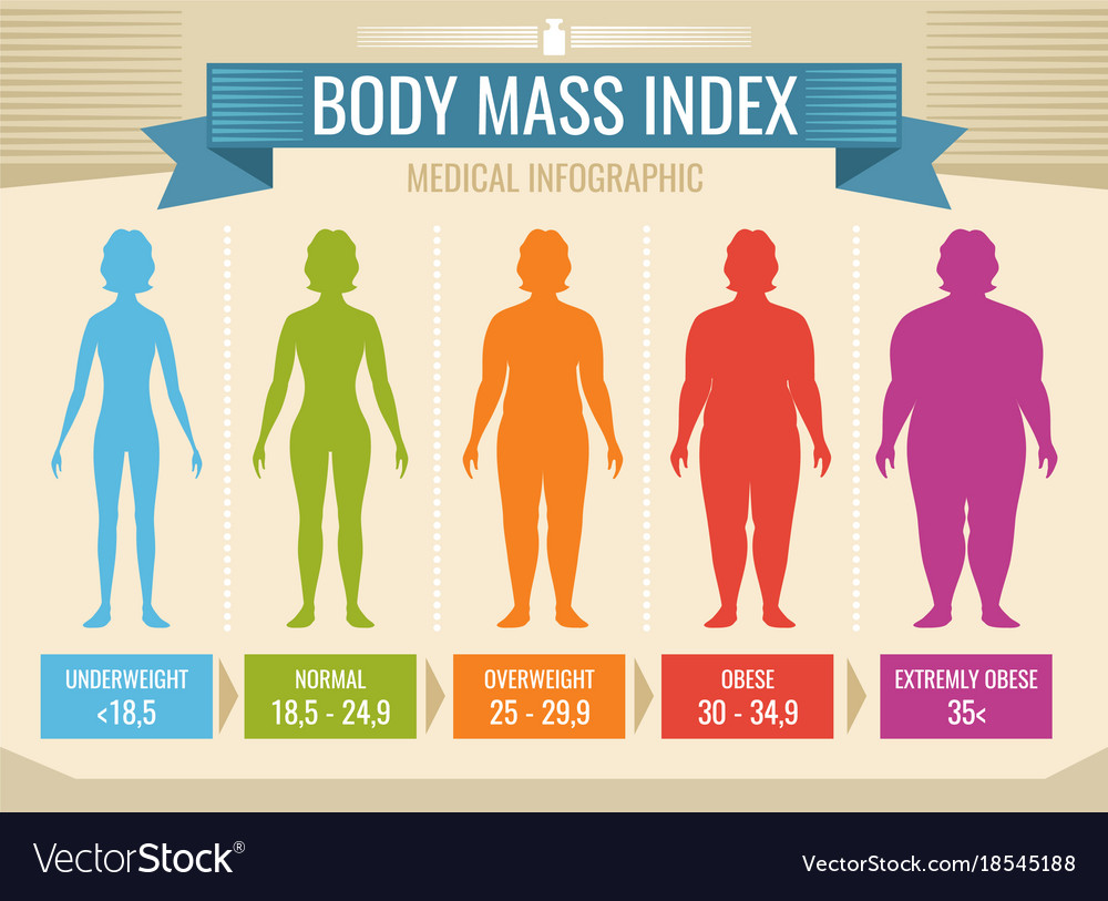 Female body mass index calculator - mineidentity