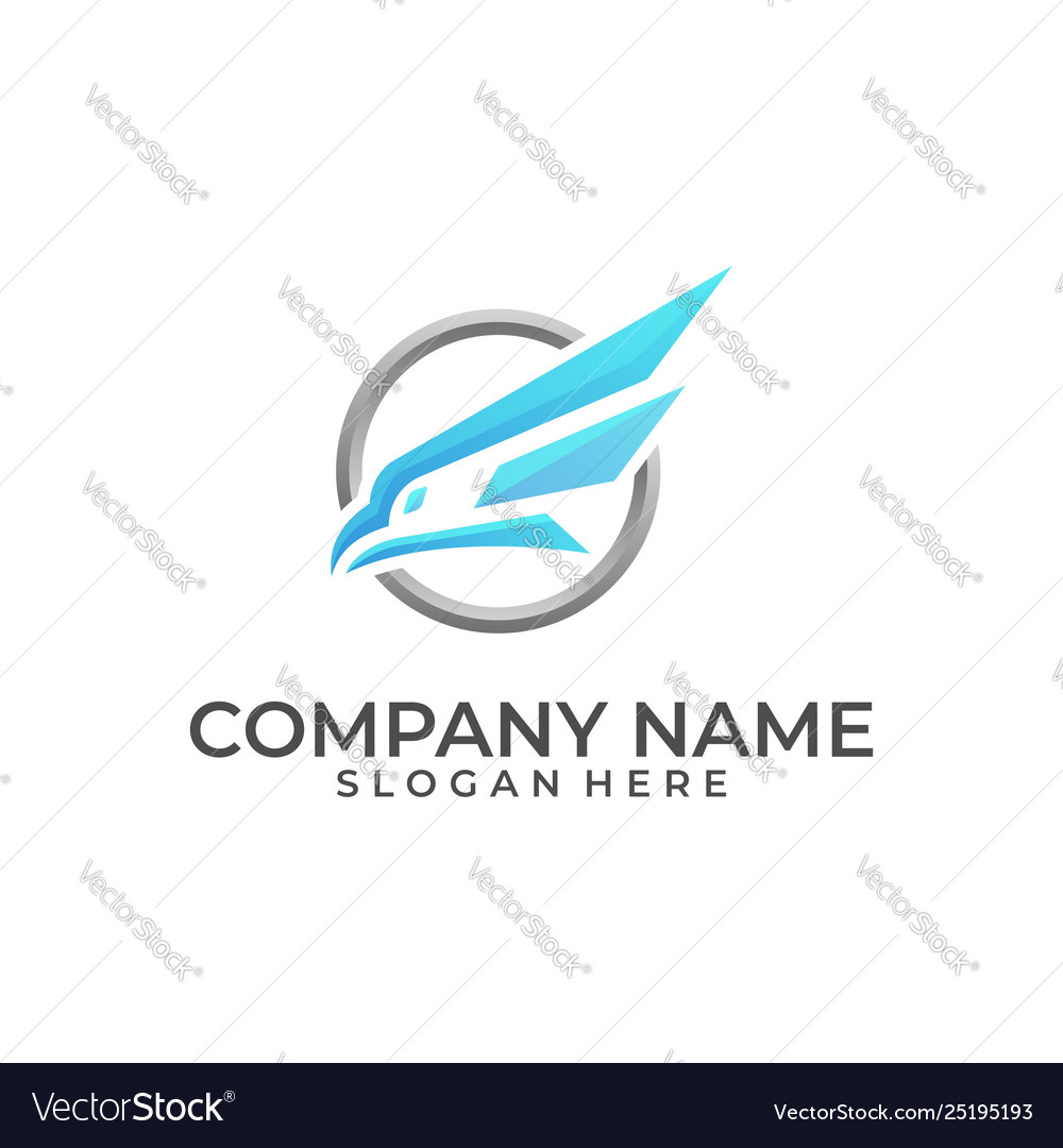 Head eagle color designs template vector image Head eagle color designs template
