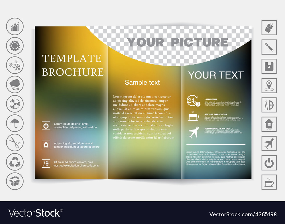 tri fold brochure mock up design blur background vector image