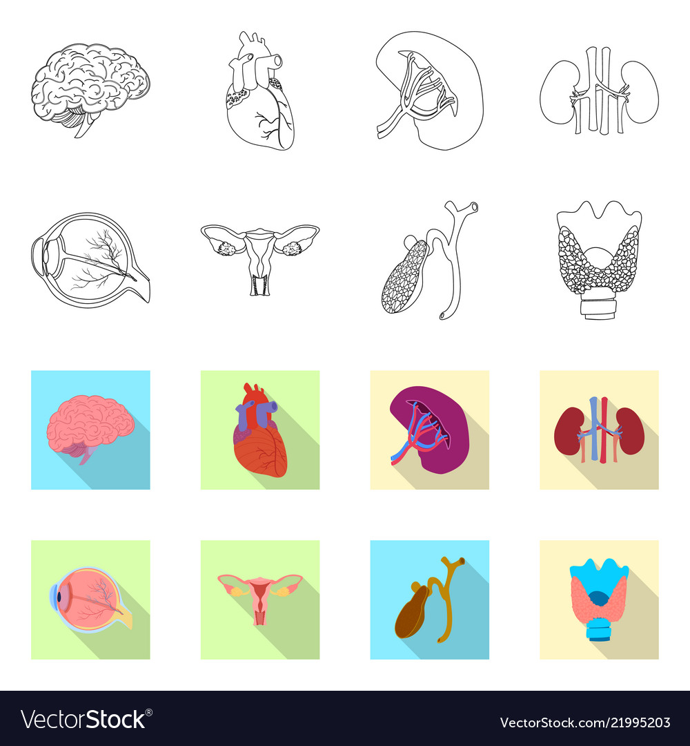 Body and human symbol set