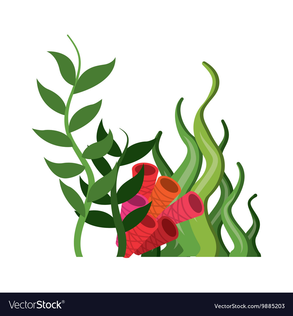 Coral And Algae Icon Sea Life Design Royalty Free Vector