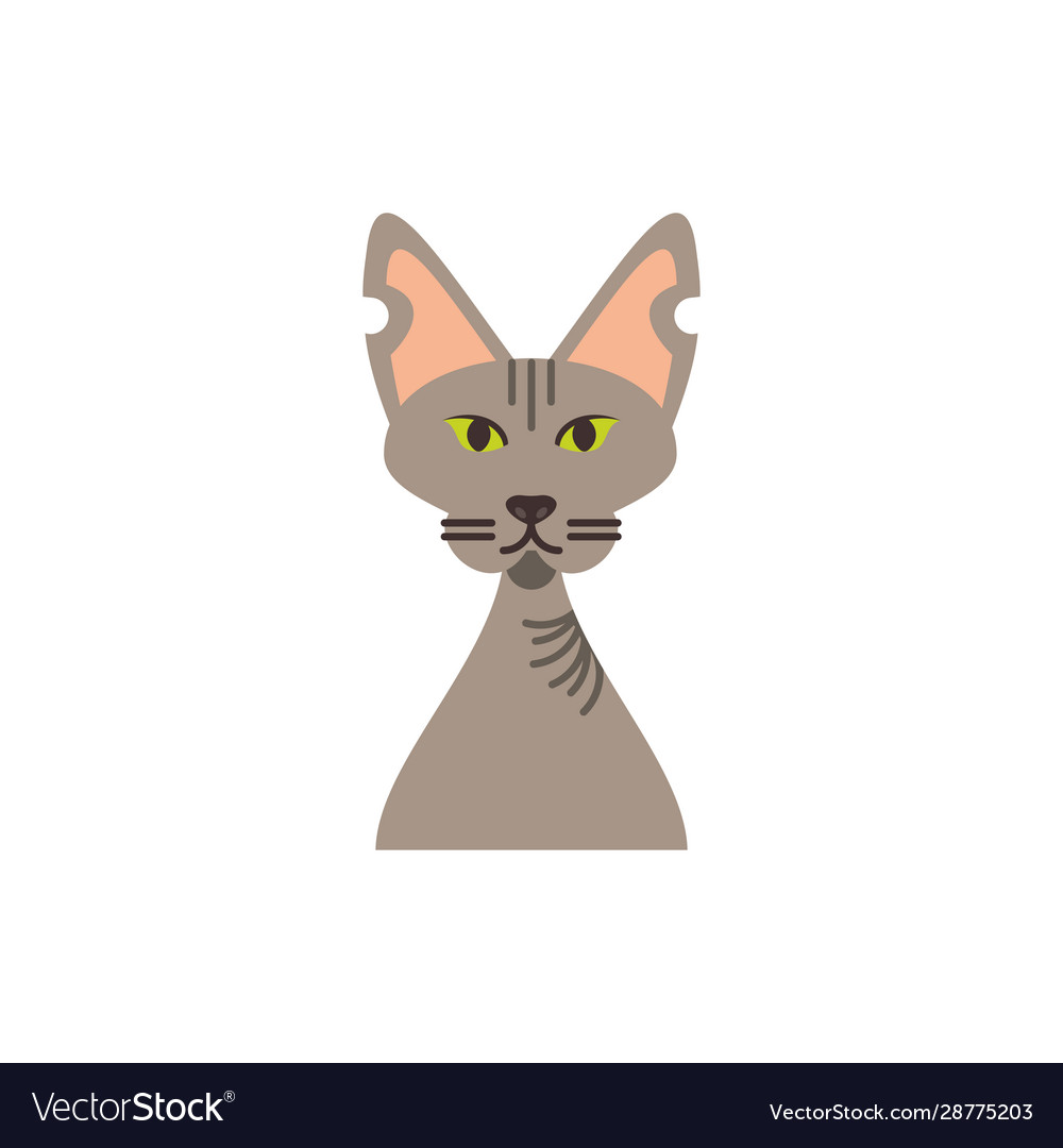 Cute light brown cat cartoon design