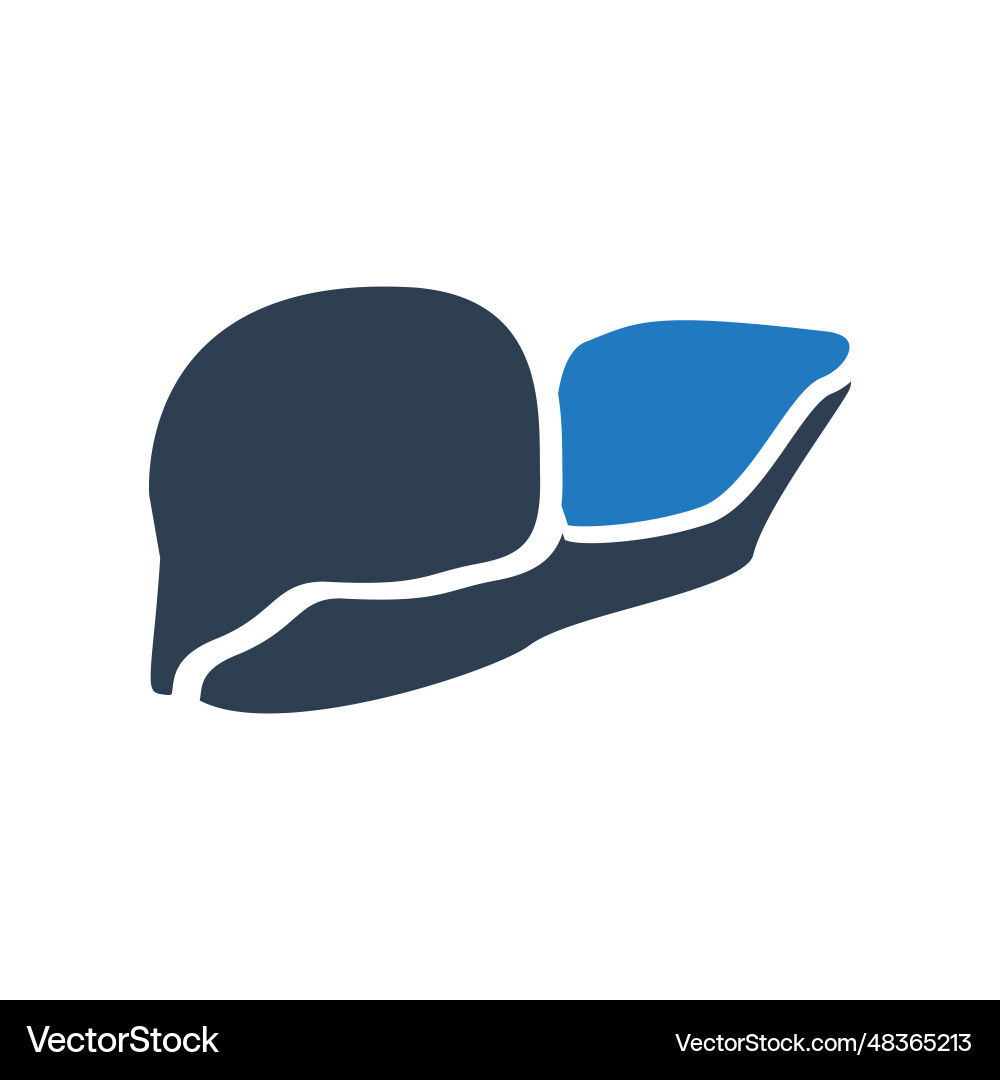 Human internal organ liver icon isolated on white Vector Image