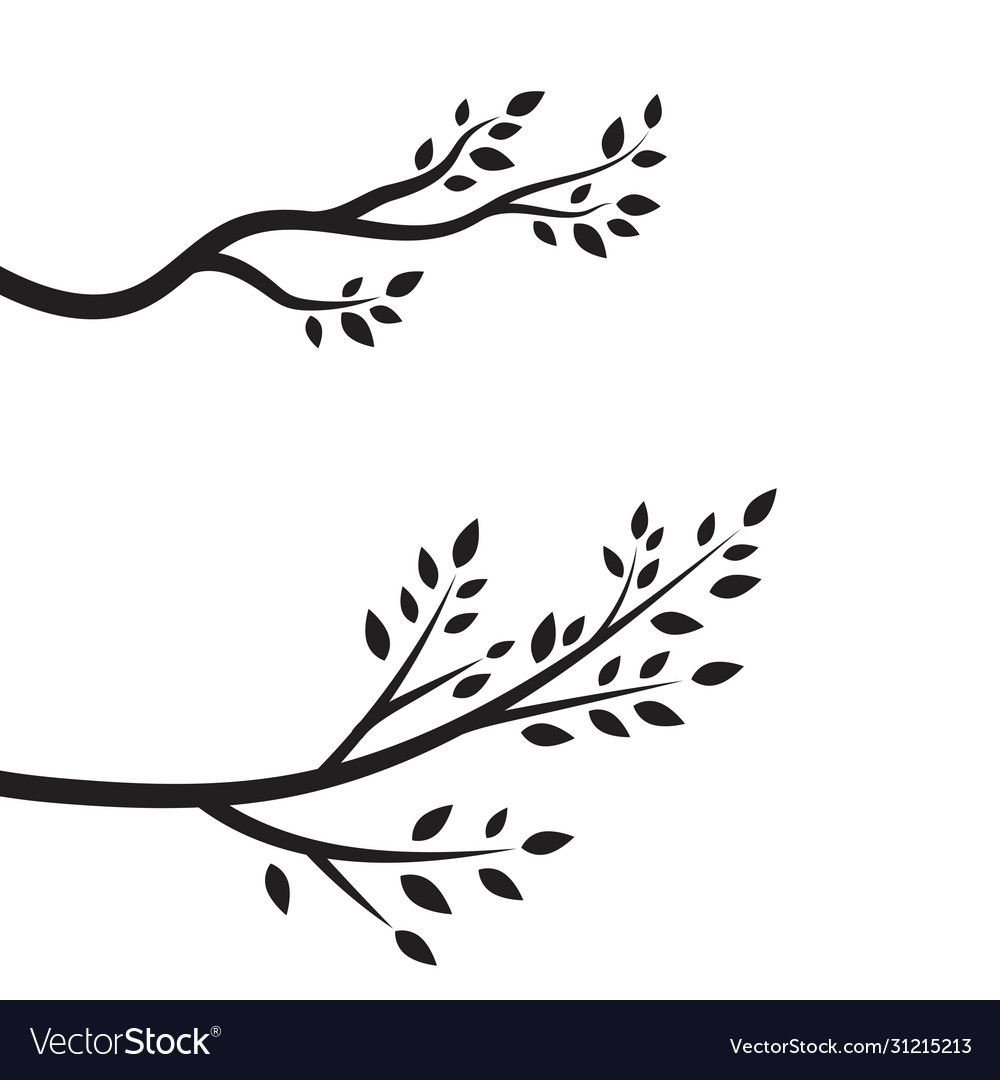 Tree branch design vector image Tree branch design