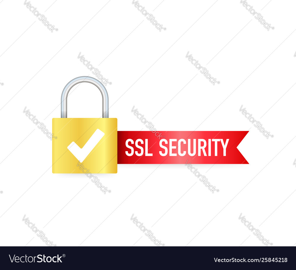 Secure connection icon isolated on white vector image Secure connection icon isolated on white