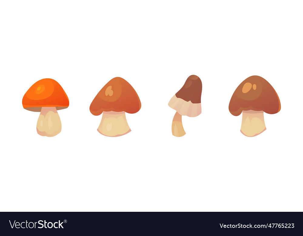 Beautiful Mushrooms Forest Grebe Royalty Free Vector Image 4232