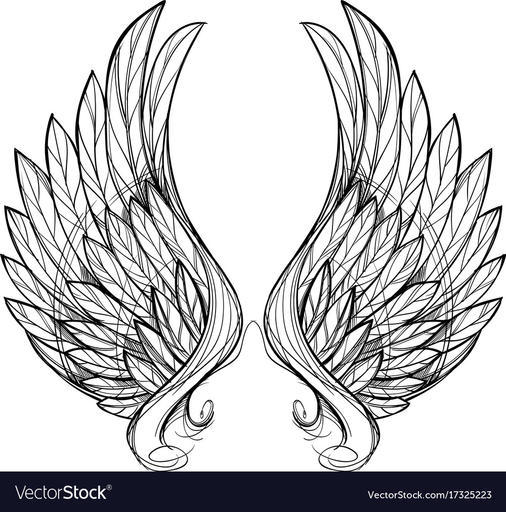 Wings isolated on white background design element