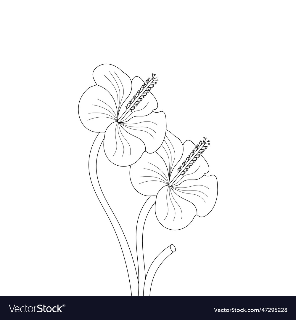 Hibiscus flower coloring page for adults