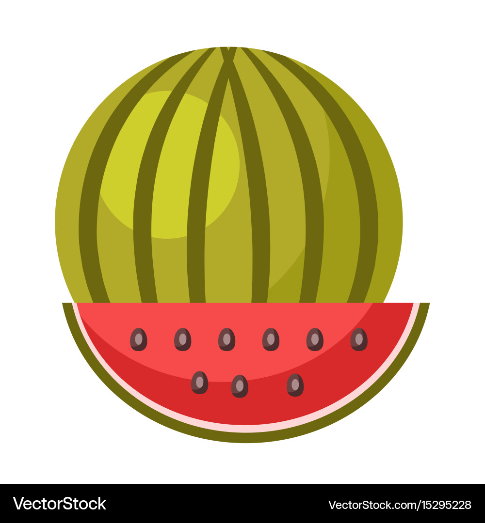 Whole ripe watermelon and small slice isolated Vector Image