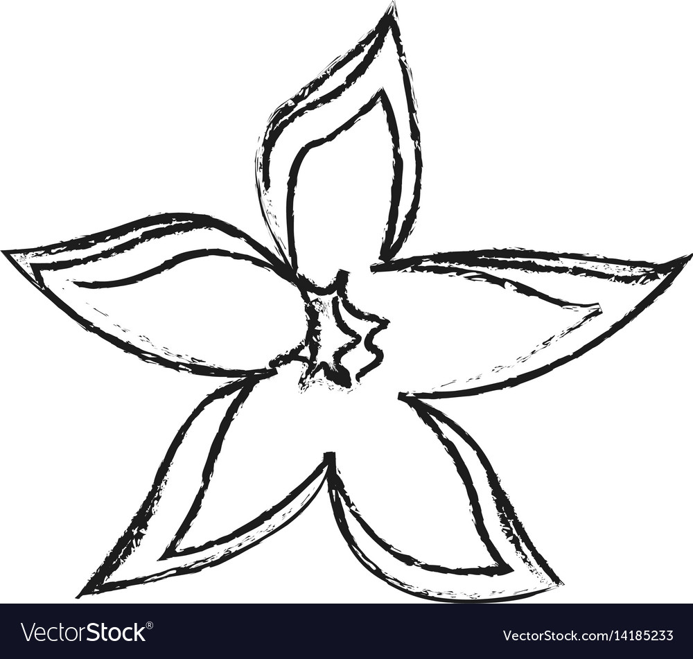 Delicate flower icon image