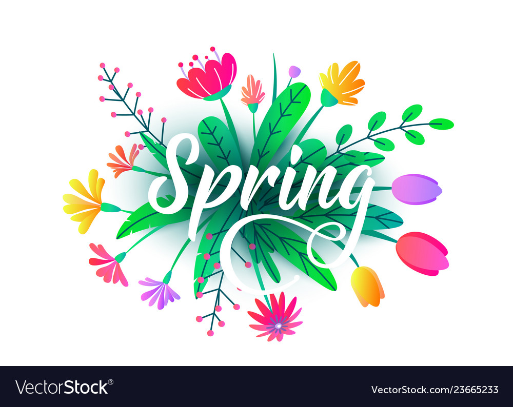 Spring word background with flat minimal Vector Image