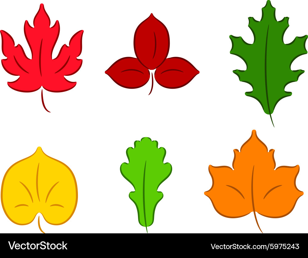 Leaves Royalty Free Vector Image - VectorStock