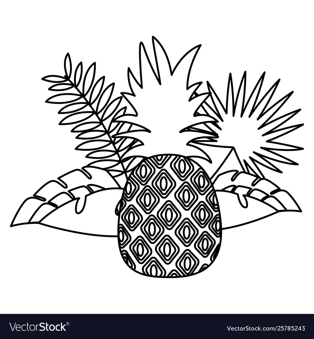 Ananas tropische Früchte Blatt exotisch