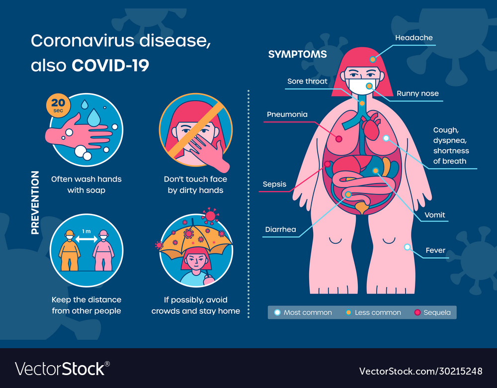 Coronavirus infographics - covid-19 prevention Vector Image