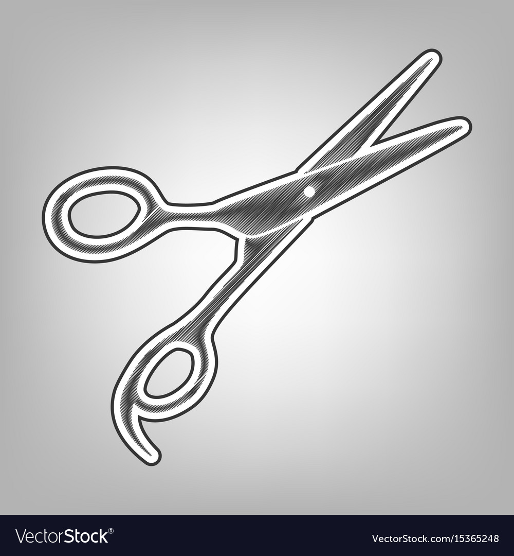 Hair cutting scissors sign pencil sketch Vector Image