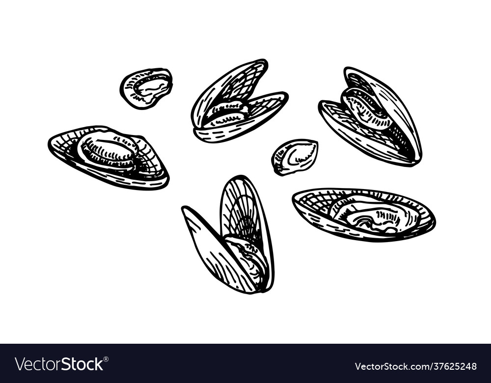 Mussels ink sketch seafood a set templates