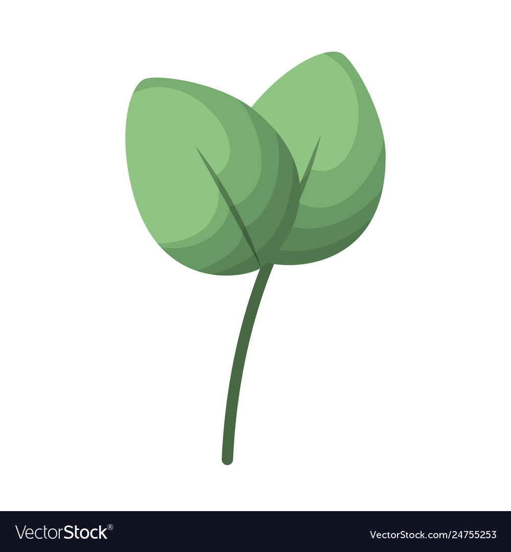 Branch with leafs isolated icon