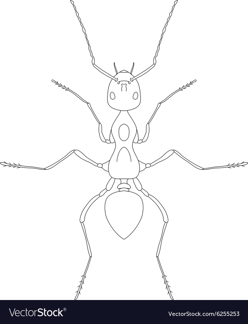 Formica exsecta sketch of ant isolated