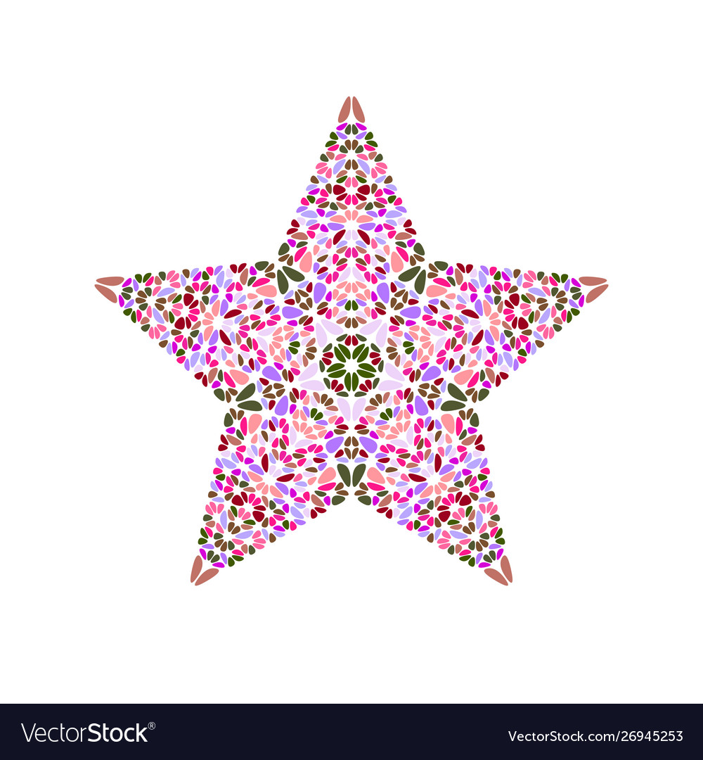 Geometrical colorful floral ornament star symbol