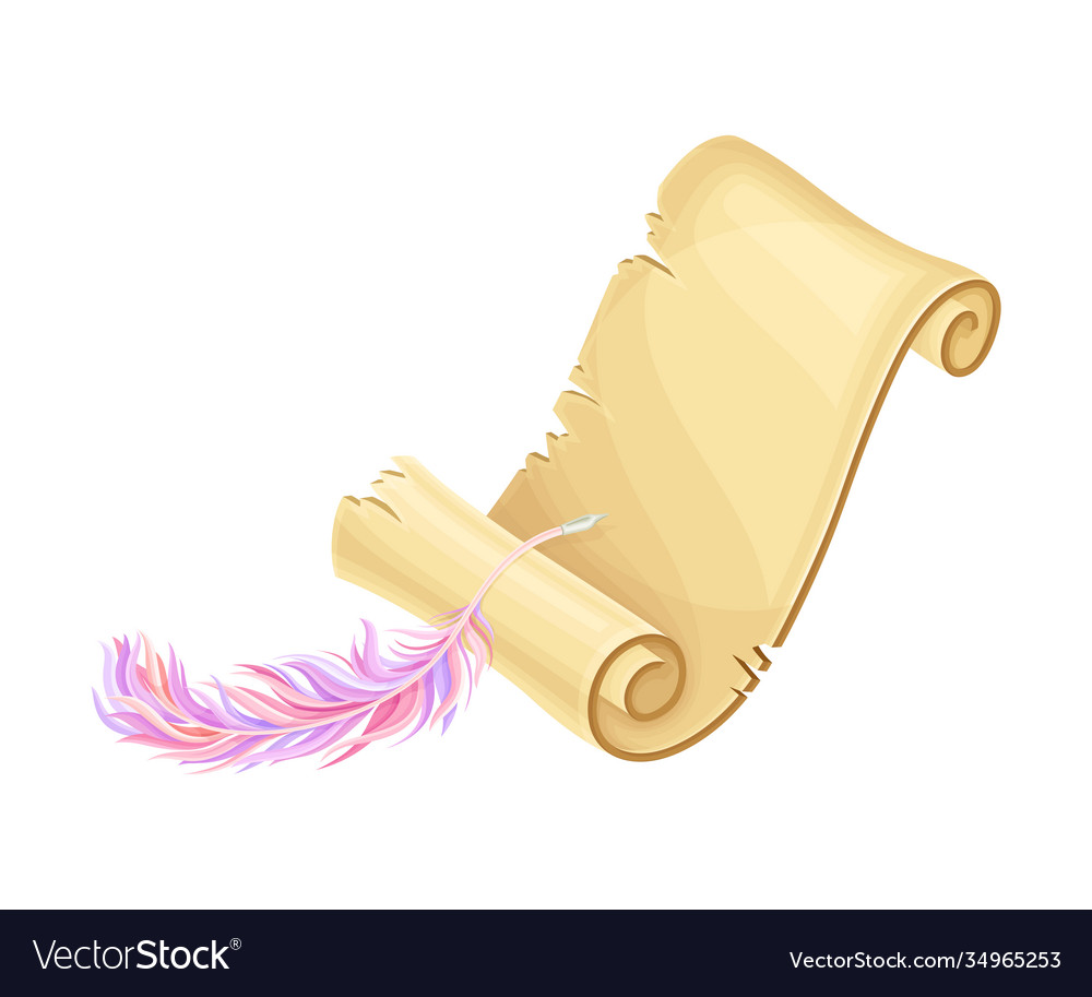Old scroll or curved manuscript with quill vector image Old scroll or curved manuscript with quill