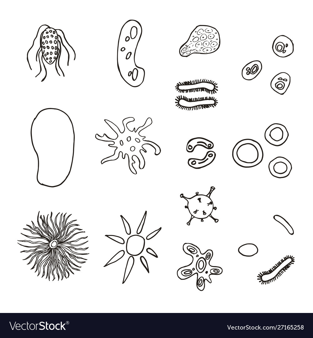 A set bacteria and viruses