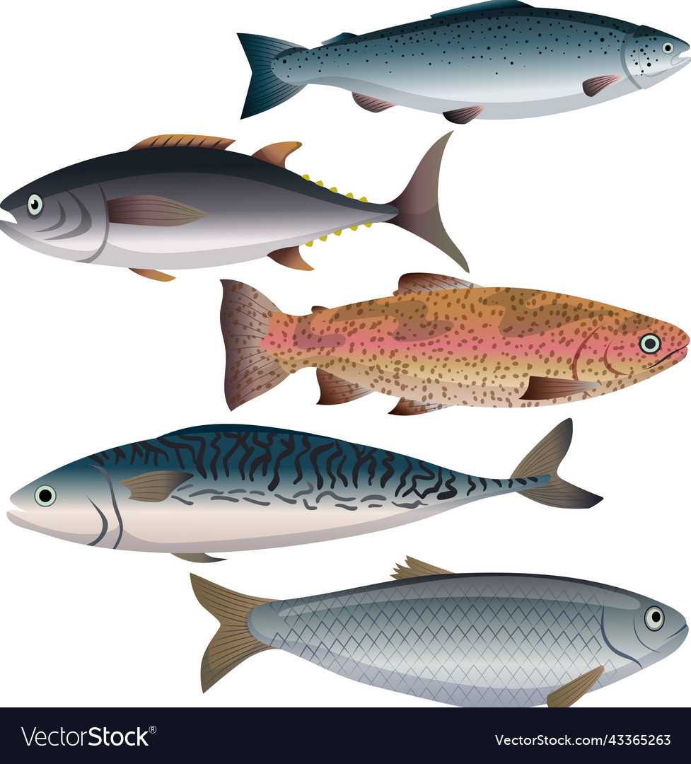 Fish food set cartoon Royalty Free Vector Image Fish food set cartoon Royalty Free Vector Image