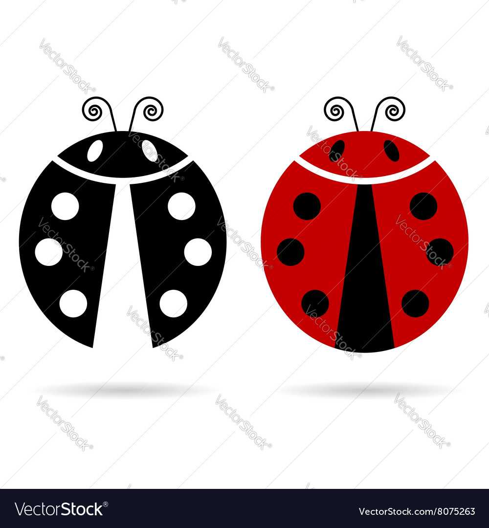 Ladybug cute