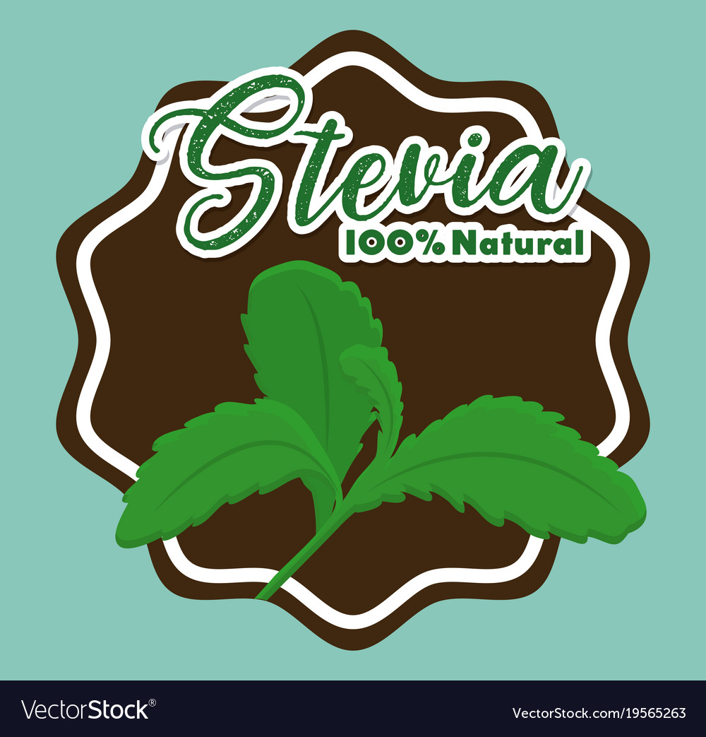 Stevia concept design