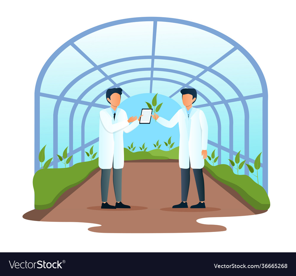 Two Male Scientists Examining Plant Sample Vector Image Two Male Scientists Examining Plant Sample Vector Image