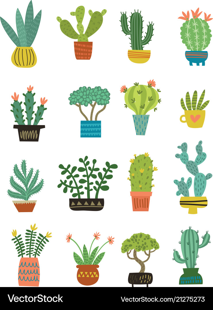 Cactus set Royalty Free Vector Image - VectorStock