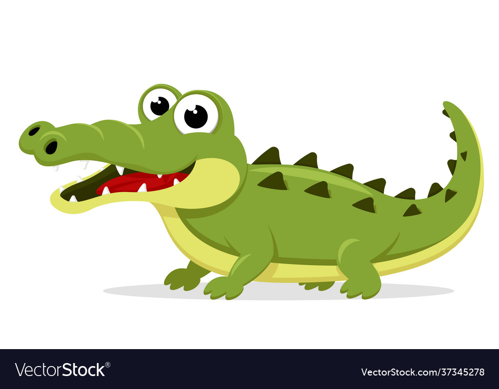 Crocodile Stands And Smiles On A White Royalty Free Vector