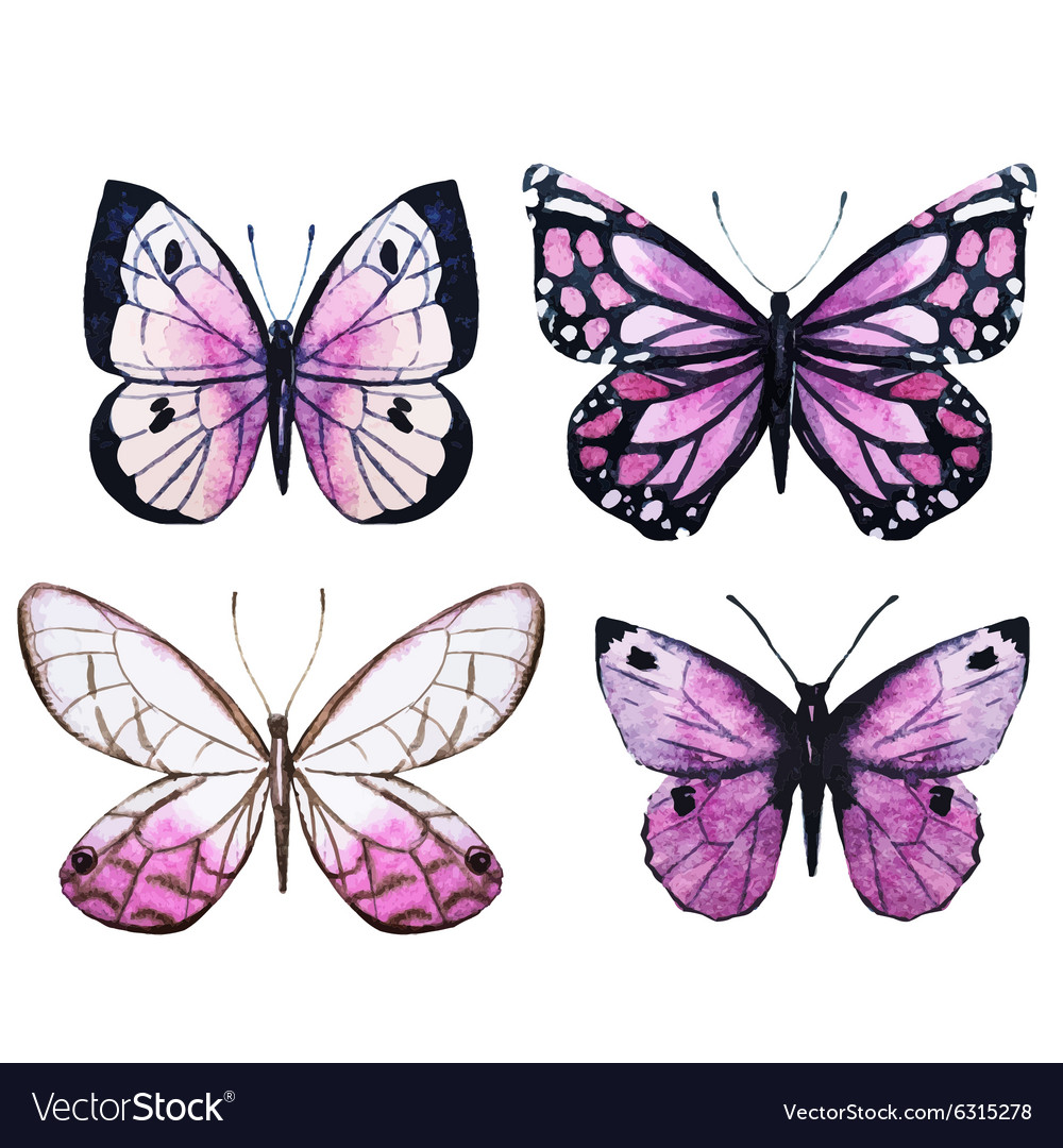 Watercolor butterflies Royalty Free Vector Image