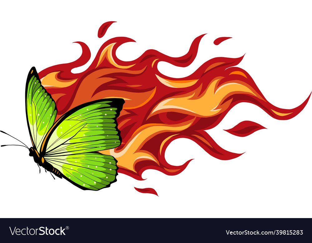 A butterfly made of fire vector image A butterfly made of fire
