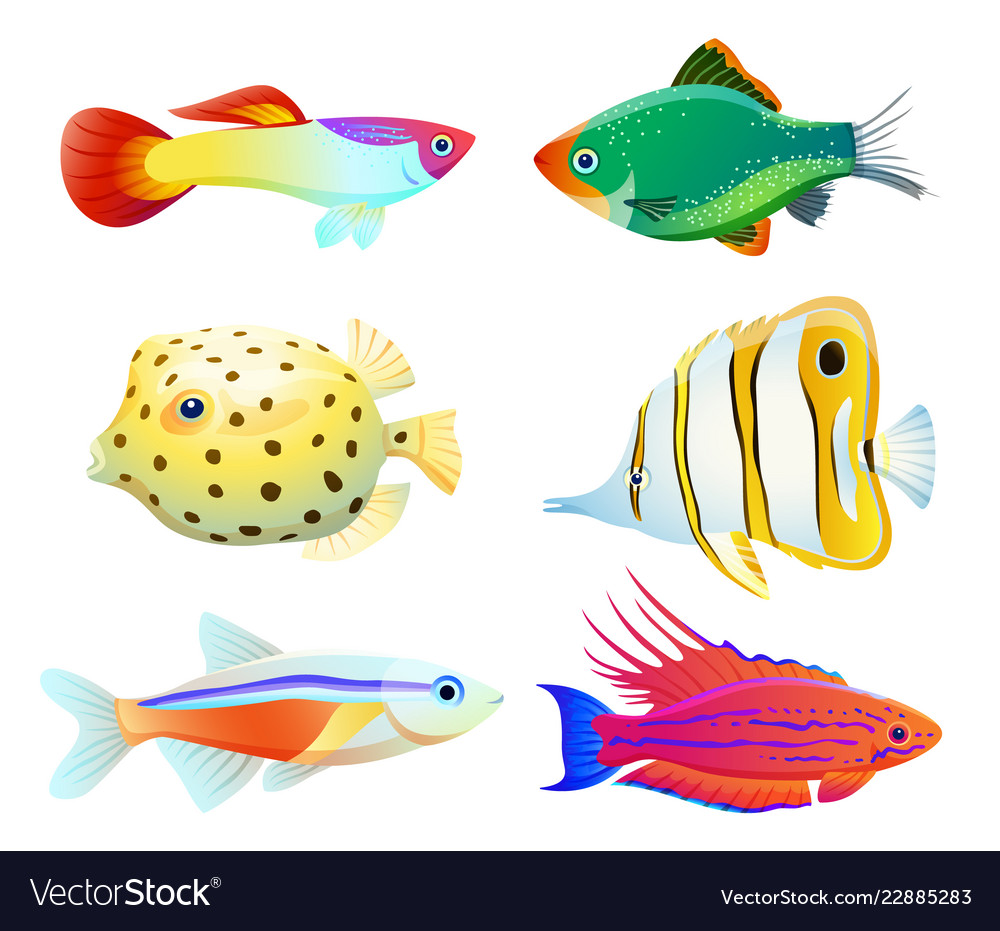 Aquarium fish silhouette isolated on white icons Vector Image