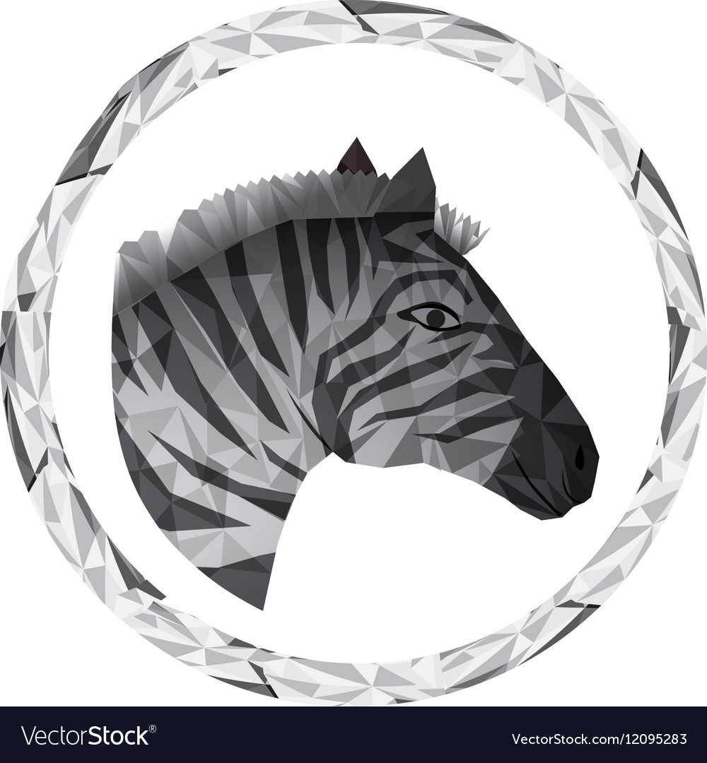 Isolated polygonal zebra design