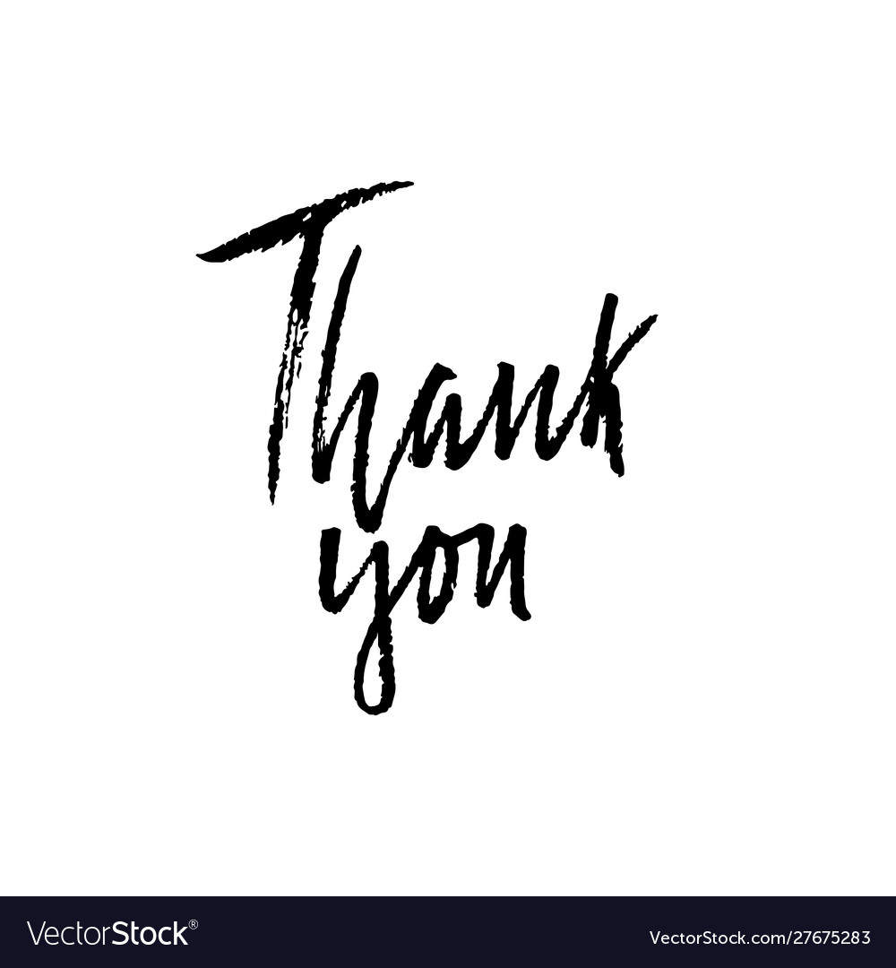 Thank you hand drawn dry brush lettering thanks Vector Image