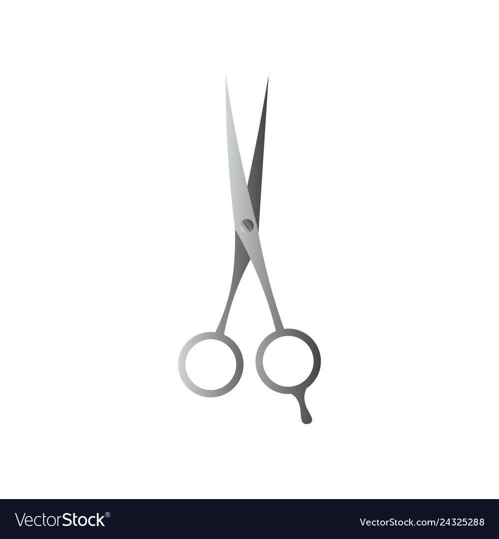 Barber Scissors - Sharp Ends