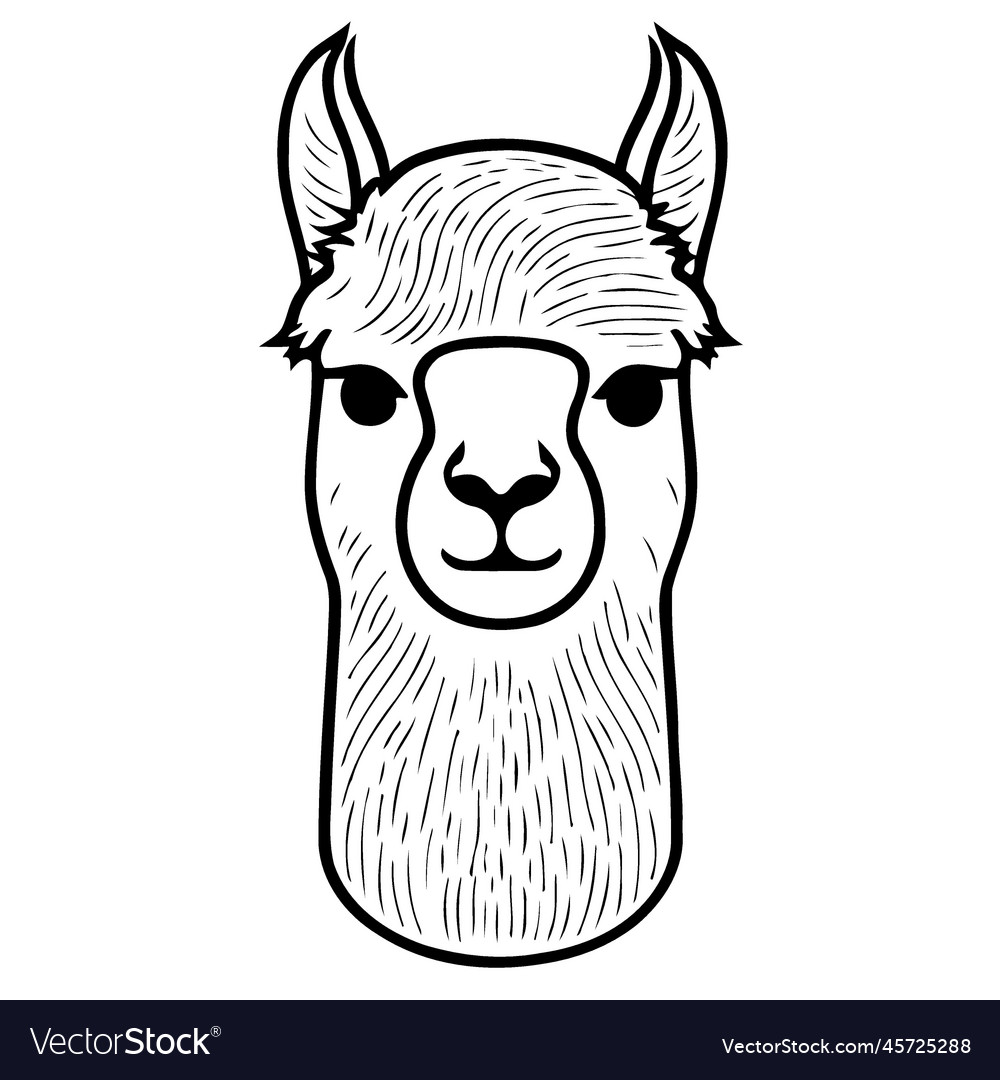 Camelid animal head called alpaca Royalty Free Vector Image