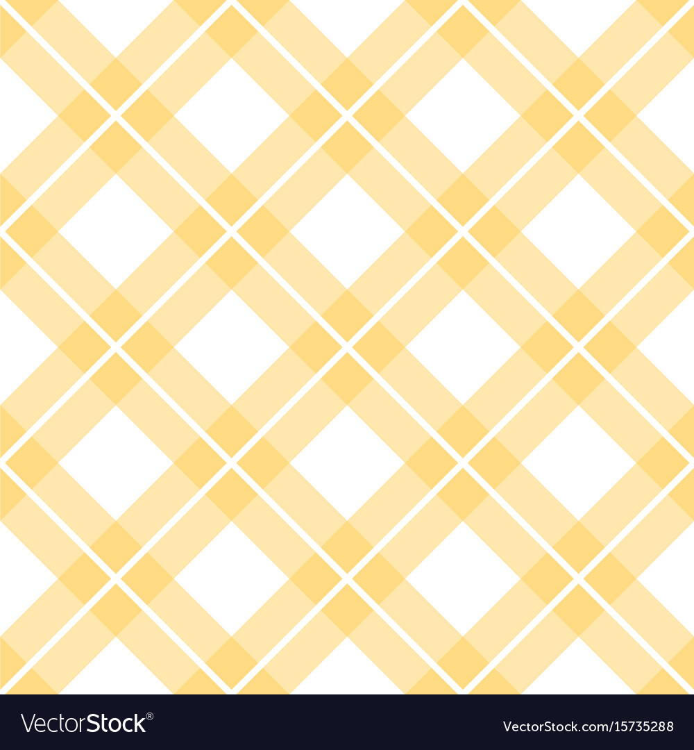 Check print and lines seamless pattern