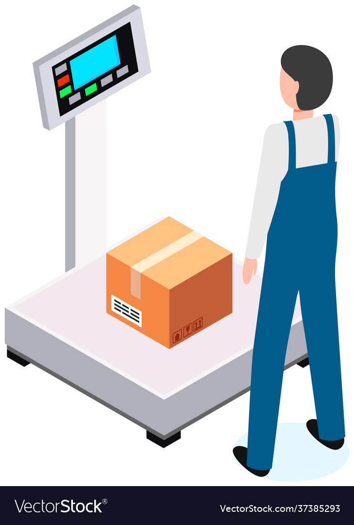 Measurement weight box with goods using Royalty Free Vector