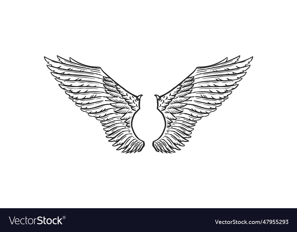 Set of angel wings in vintage style template Vector Image