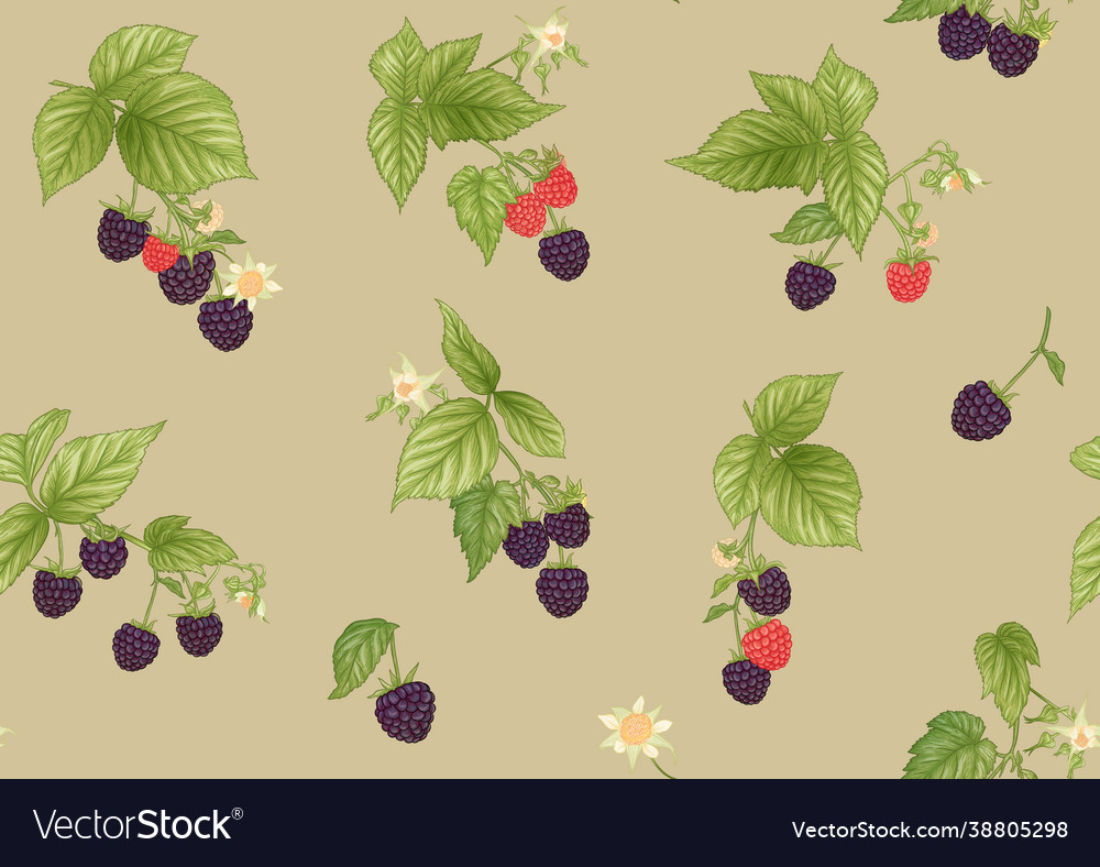 Blackberry Berries on Branch - Seamless Pattern